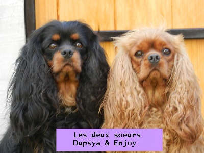de la vallée des Picabans - Les deux soeur