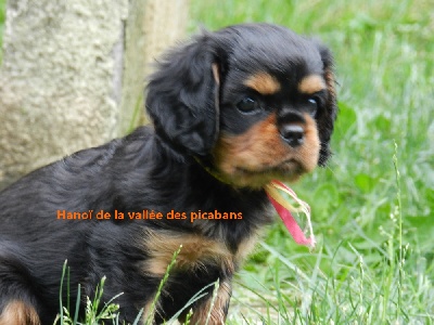 de la vallée des Picabans - Départ de Hanoï