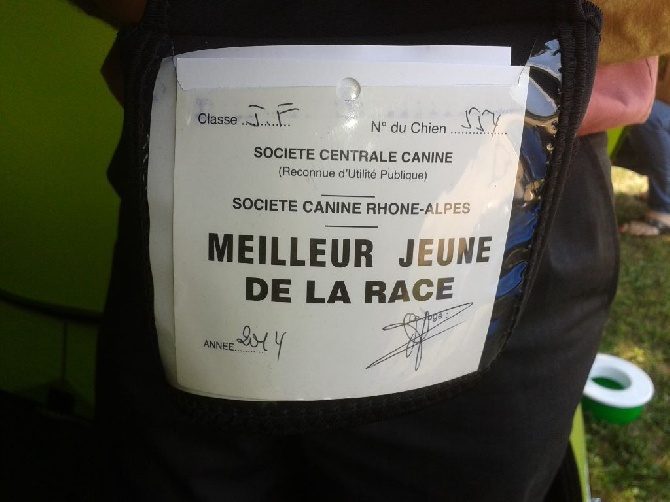 de la vallée des Picabans - Bravo Izer